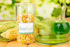 Five Wents biofuel availability